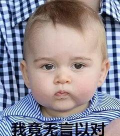 乔治王子可爱表情包,可爱表情包走红网络