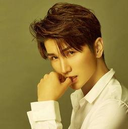 陈奕夫资料,音乐梦想的追逐者,才华横溢的歌手与演员