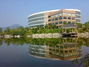 大学后照片,大学时光的定格瞬间