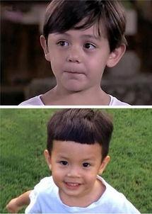 娱乐圈的宝宝,娱乐圈萌宝成长记