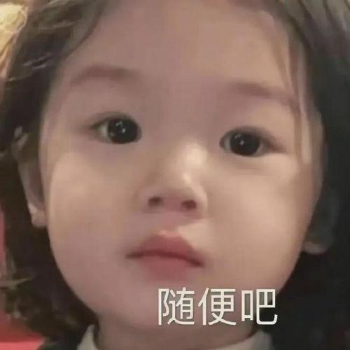 凉凉歌词的表情包,歌词中的情感共鸣,表情包里的时代印记