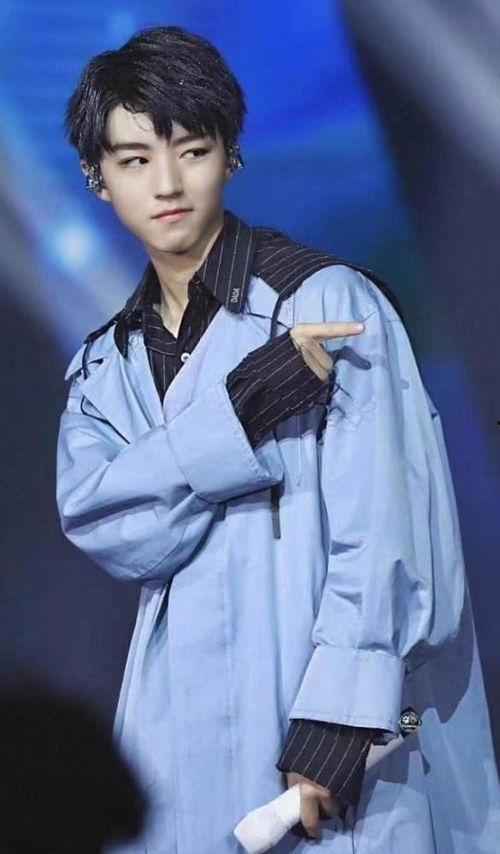 王俊凯与网红的小说,一段跨越圈层的浪漫传奇