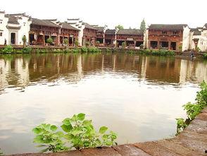 完美假期八卦,揭秘完美假期背后的八卦风云