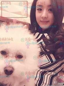 赵丽颖的房子照片,奢华内饰与自然美景完美融合