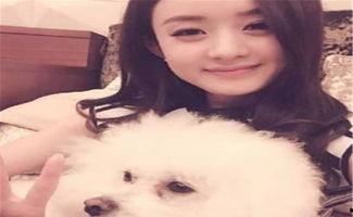 赵丽颖的房子照片,奢华内饰与自然美景完美融合