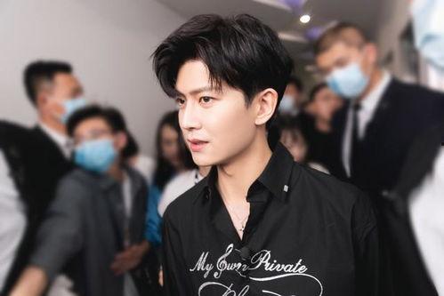 任嘉伦娱乐圈,娱乐圈的璀璨星辉与成长足迹